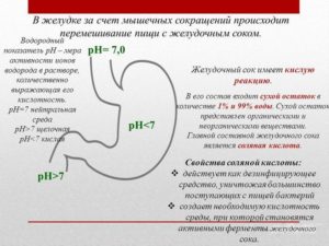 Симптомы, причины и лечение нулевой кислотности желудка. Лечение при нулевой кислотности желудка