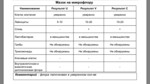 Смешанная с преобладанием палочек. Смешанная флора в мазке у женщин что это. Что можно обнаружить в мазке