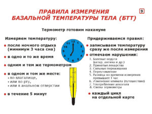 В какое время мерить базальную температуру. Измерение базальной температуры: как, когда и где мерить