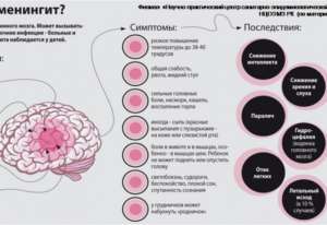 В каком случае развивается менингит без температуры. Симптомы менингита у взрослых - первые признаки по типам заболевания Может ли быть менингит без рвоты