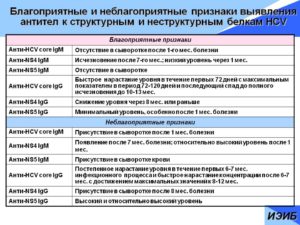 Анти вгс положительный что это значит. Anti hcv подтверждающий положительный что это значит