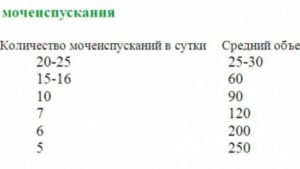 Как определить объем мочевого пузыря у мужчин? Нормы вместимости и восстановление размера. Емкость мочевого пузыря и частота мочеиспускания