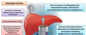 Восстановление печени после антибиотиков. Чем восстановить печень после антибиотиков