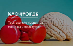 Человек использует свой мозг. На сколько процентов работает человеческий мозг