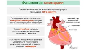 Можно ли умереть от тахикардии. Тахикардия это опасно