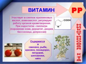 В каких продуктах содержится витамин рр. Витамин PP: чем полезен и где содержится