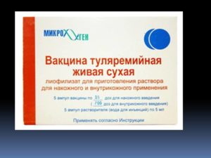 Вакцина туляремийная живая. Туляремия: как избежать заражения