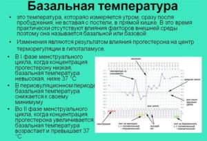 В какое время мерить базальную температуру. Измерение базальной температуры: как, когда и где мерить