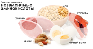 Лейцин в каких продуктах содержится таблица. Список продуктов богатых полезными аминокислотами. Какие из них незаменимые