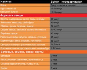 Сколько переваривается мед в желудке. Сколько времени перевариваются продукты