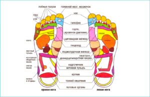 Лечебный массаж стопы. Польза массажа ступней. Особенности выполнения рефлексологического массажа