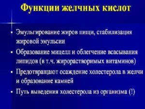 Холевая кислота биологическая роль. Жёлчные кислоты. Роль желчных кислот