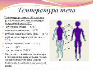 Почему в течение дня меняется температура тела. Причины повышения температуры без симптомов у взрослых. Температура тела у взрослых