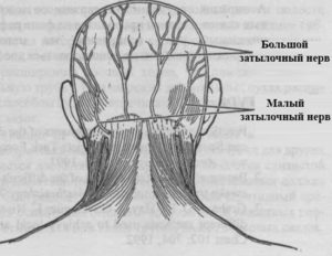 Воспаление нервных окончаний на спине. Затылочный нерв, воспаление: симптомы и лечение