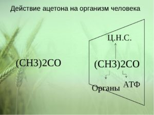 Влияет ацетон на организм человека. Какие эффекты оказывает на организм человека ацетон? Попадание в организм и поведение в нем