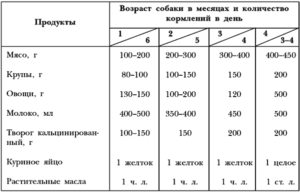 Как кормить щенка питбуля 1 месяц. Кормление щенка. Кормление сухими кормами