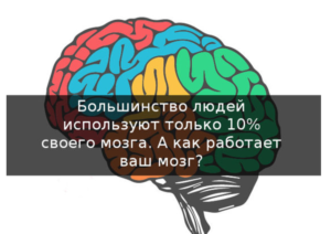 Человек использует свой мозг. На сколько процентов работает человеческий мозг