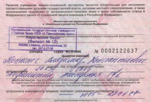 Где пройти комиссию на инвалидность. Необходимая информация об оформлении инвалидности. Процедура медико-социальной экспертизы