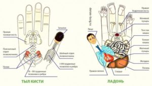 Иглотерапия суджук. Атлас точек на ладони по терапии суджок