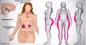Как уравновесить гормональный фон женщины. Какие гормоны отвечают за нормальную жизнедеятельность женского организма? Причины и симптомы гормонального сбоя
