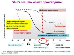 Какие продукты повышают прогестерон у женщин и мужчин