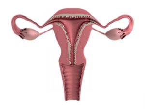 Менструация спустя месяц после родов. Почему месячные идут через каждые две недели