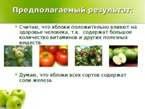 Какие витамины есть в яблоке и чем они полезны человеку? В зеленом яблоке какие витамины