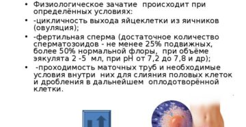 Оплодотворение через сколько дней. О процессе зачатия. Сроки оплодотворения яйцеклетки