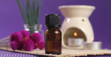 Эфирное масло левзеи: описание аромата, свойства, применение, отзывы