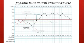 В какое время мерить базальную температуру. Измерение базальной температуры: как, когда и где мерить