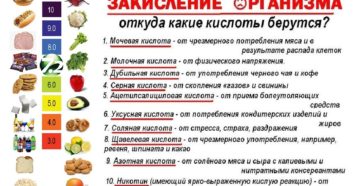 Продукты создающие щелочную среду в организме. Кислые и щелочные продукты питания: что необходимо знать