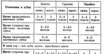 А вы знаете, сколько живут таксы? Как узнать возраст собаки без документов? Когда собака становится старше владельца Как узнать возраст щенка таксы