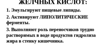 Холевая кислота биологическая роль. Жёлчные кислоты. Роль желчных кислот