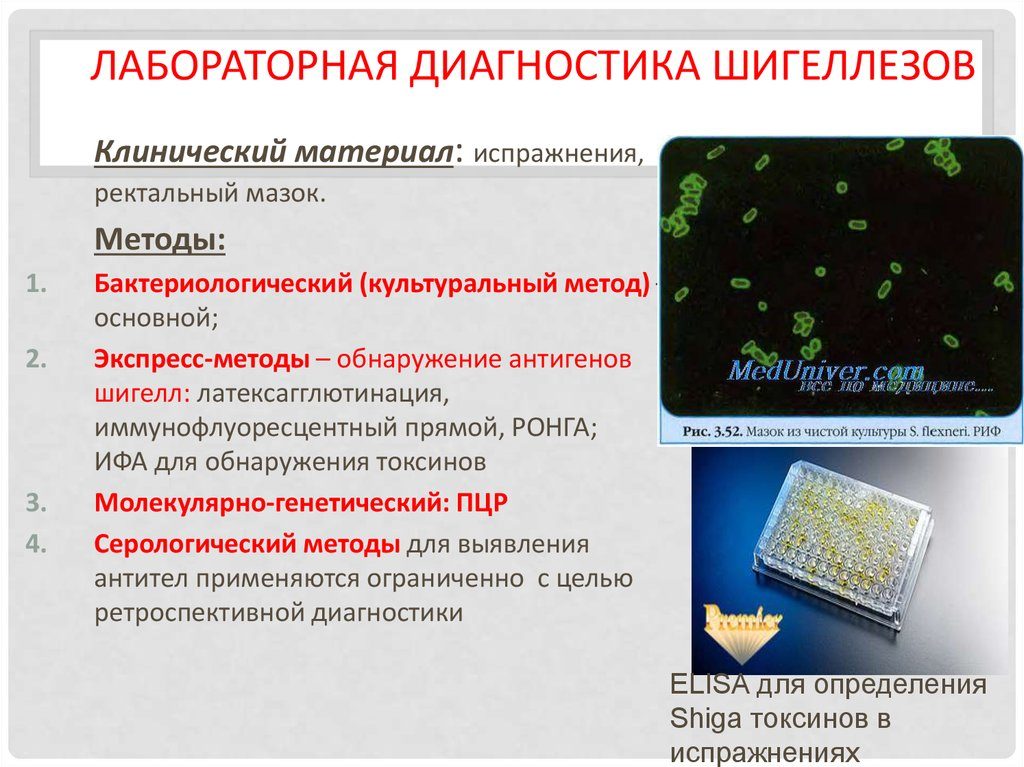 Как сдавать анализы на дизентерию. Лабораторная диагностика бактериальной дизентерии