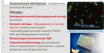 Как сдавать анализы на дизентерию. Лабораторная диагностика бактериальной дизентерии