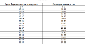 Миома 10 11 недель что делать. Размер миомы матки в неделях. Какое бывает лечение в зависимости от размеров