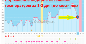 За сколько дней перед месячными падает базальная температура. БТ во время месячные. Базальная температура перед месячными – отклонения