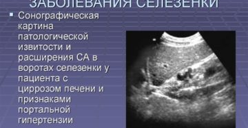 Увеличение селезенки у ребенка 3 лет. Селезенка симптомы заболевания лечение у детей