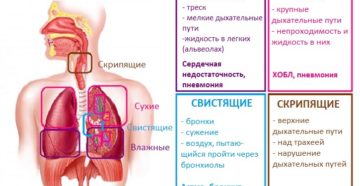 Тяжело дышать и хрипы в легких. Чем опасен кашель с хрипами