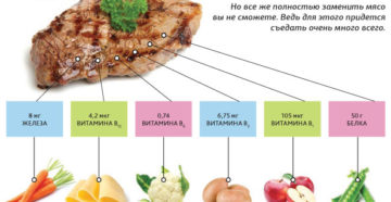 Чем вегетарианцы заменяют мясо и рыбу. Чем заменить мясо? Советы вегетарианцам