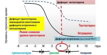 Прыщи от недостатка прогестерона. Причины прогестероновой недостаточности. Высокие цифры прогестерона: о чем говорят они