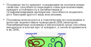 Использование в генной инженерии. Плазмиды бактерий, их функции и свойства. Использование плазмид в генной инженерии