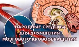 Как улучшить кровообращение глаз. Лекарства для улучшения зрения и мозгового кровообращения. Здоровый образ жизни