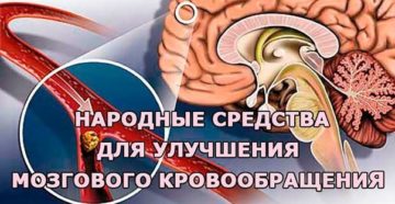 Как улучшить кровообращение глаз. Лекарства для улучшения зрения и мозгового кровообращения. Здоровый образ жизни