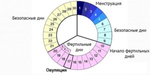 Шанс забеременеть в конце месячных. Можно ли забеременеть женщине в последний день месячных