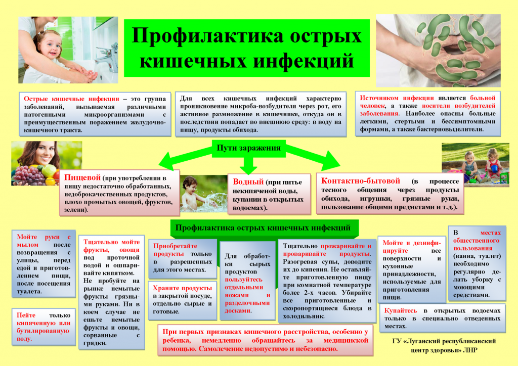 Меры профилактики острых кишечных инфекций. Профилактические меры для предотвращения кишечных инфекций