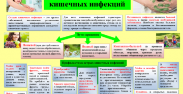 Меры профилактики острых кишечных инфекций. Профилактические меры для предотвращения кишечных инфекций