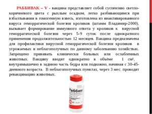 Инструкция по применению рабивак 333. Вакцина раббивак v спасет кроликов от вгбк. Состав и описание