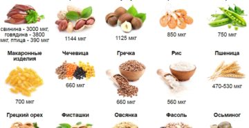 В каких продуктах питания содержится коллаген. В каких продуктах много коллагена? Содержится ли он во фруктах и овощах