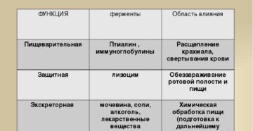 Какую роль играют ферменты слюны в пищеварении. Слюна человека: состав, функции, ферменты